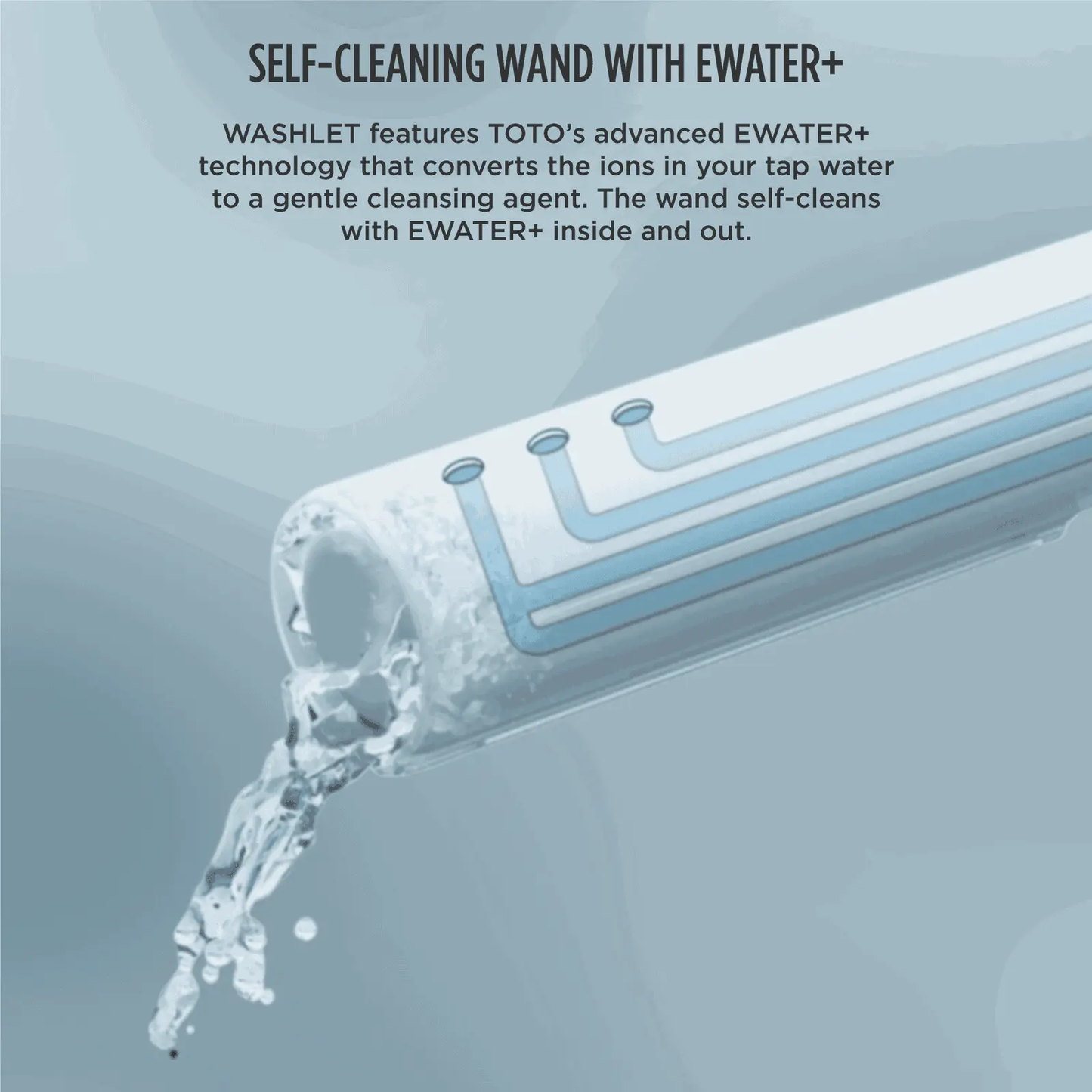 TOTO - C5 WASHLET+ TOILET SEAT - -  - Premium Bidet : Smart Toilets & Bathroom Amenities