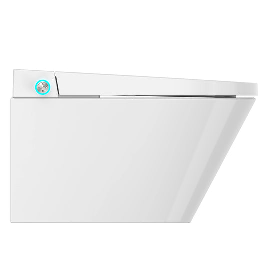 SWAN S - PRO WALL MOUNT Bidet Toilet